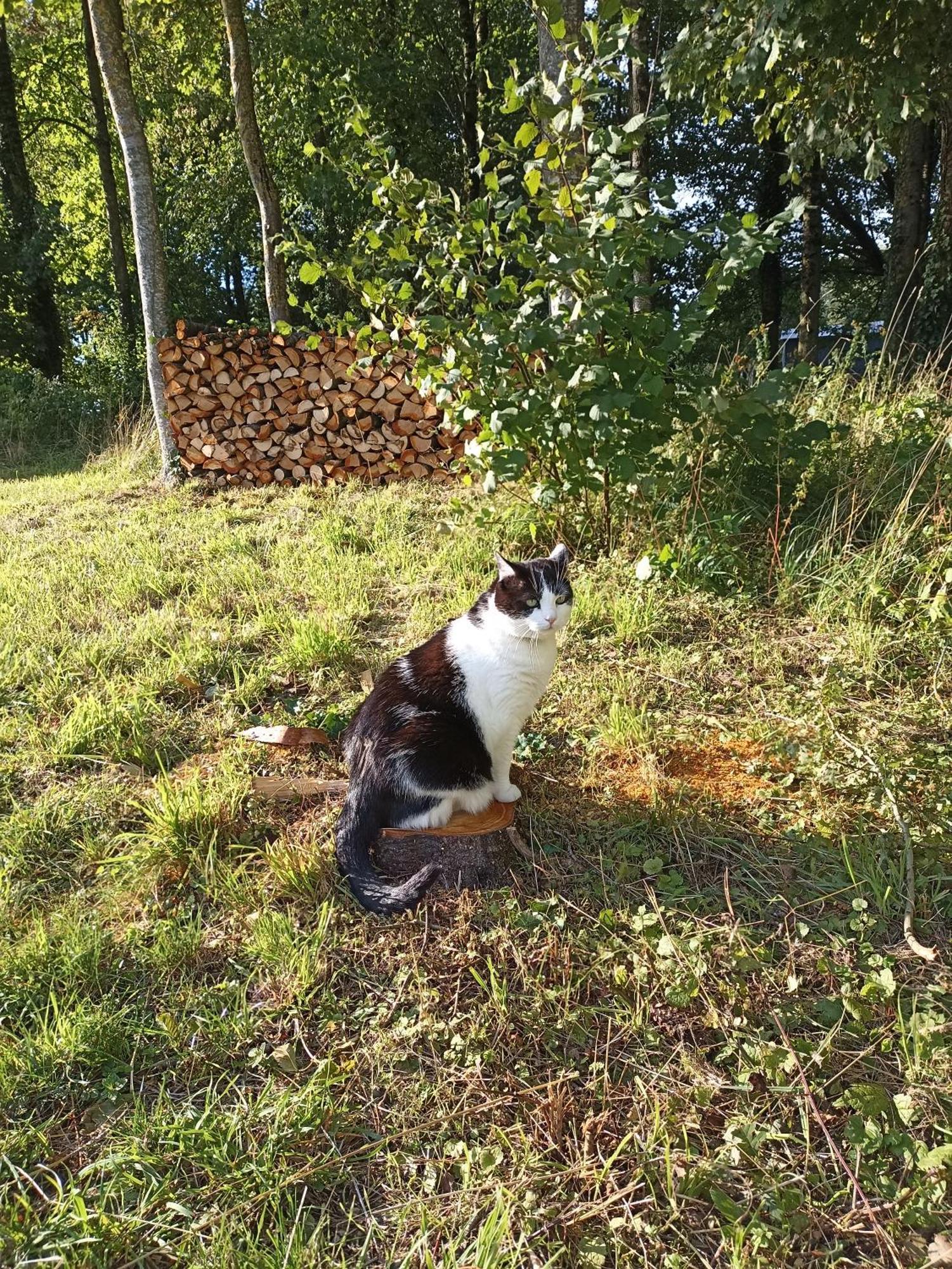 Gite Nature Et Detente Aubréville Εξωτερικό φωτογραφία