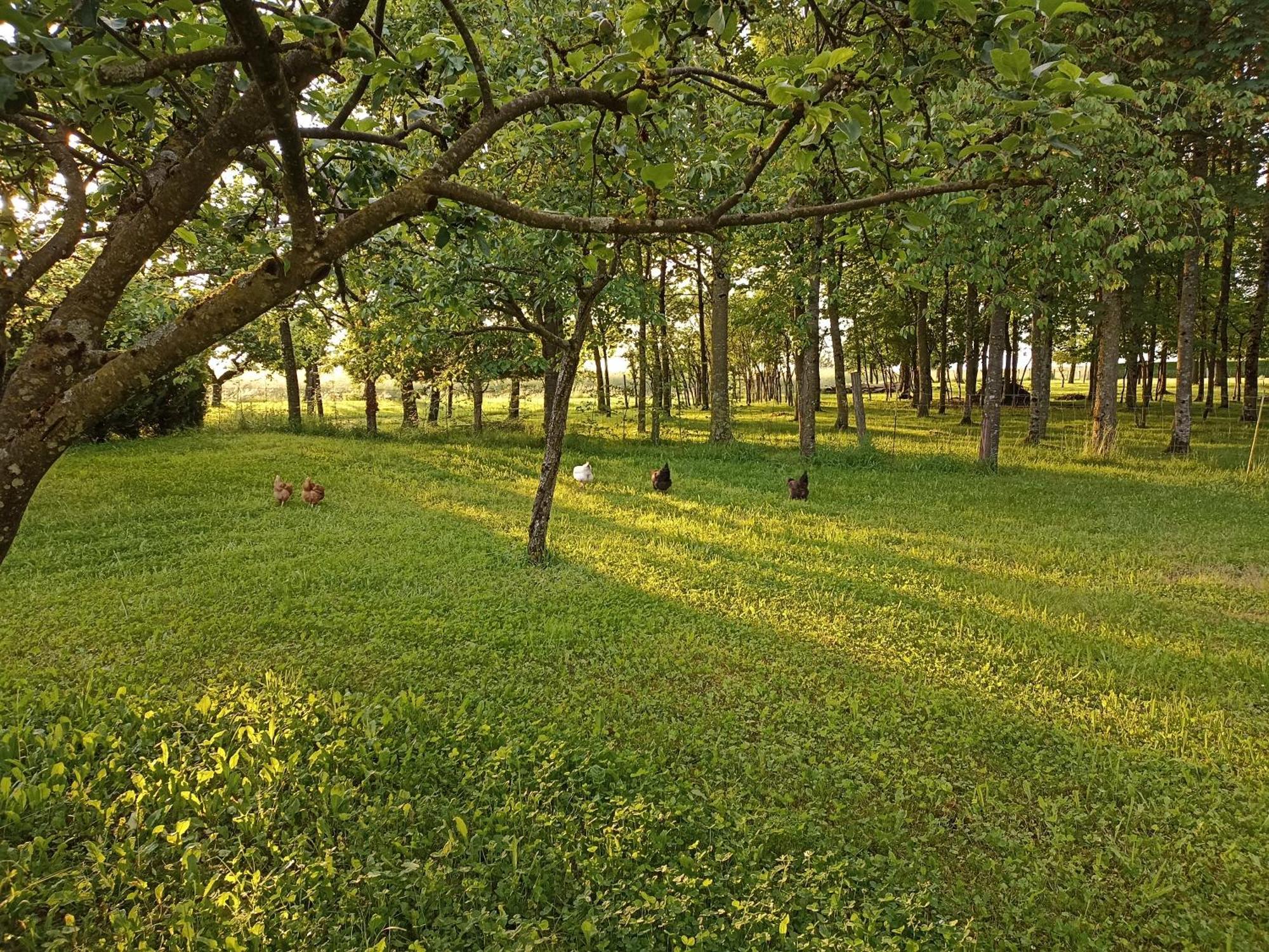 Gite Nature Et Detente Aubréville Εξωτερικό φωτογραφία