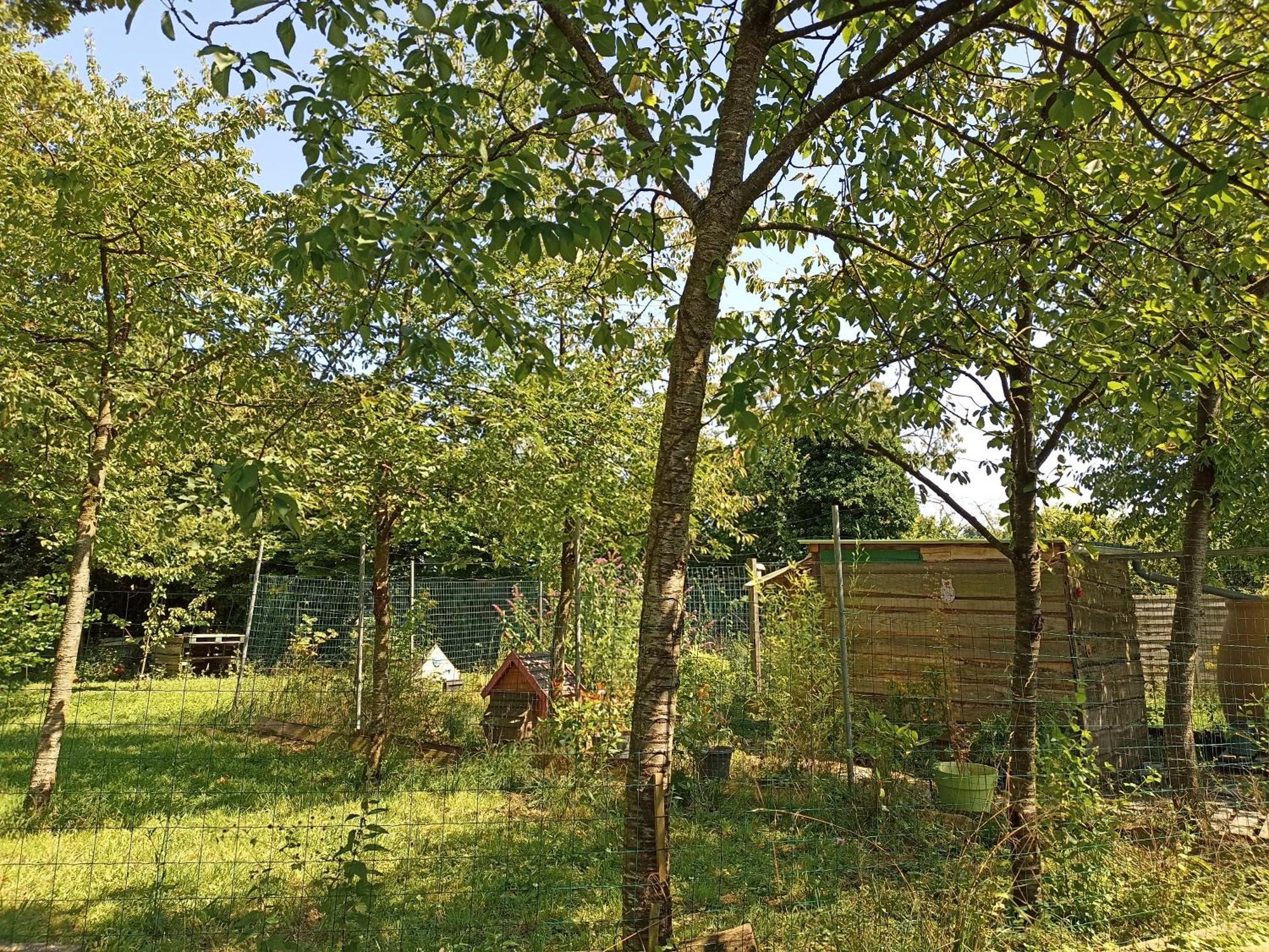Gite Nature Et Detente Aubréville Εξωτερικό φωτογραφία