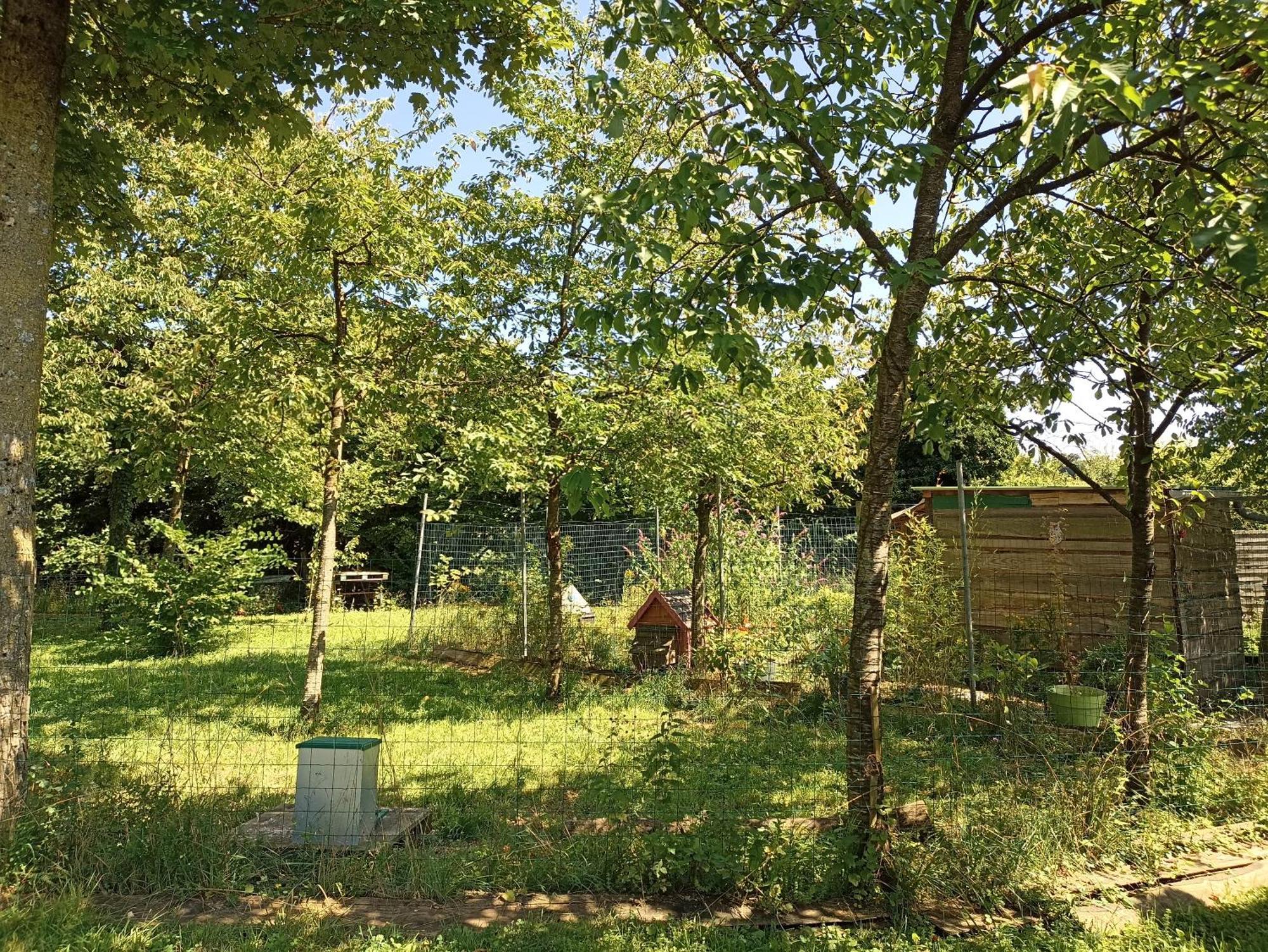 Gite Nature Et Detente Aubréville Εξωτερικό φωτογραφία