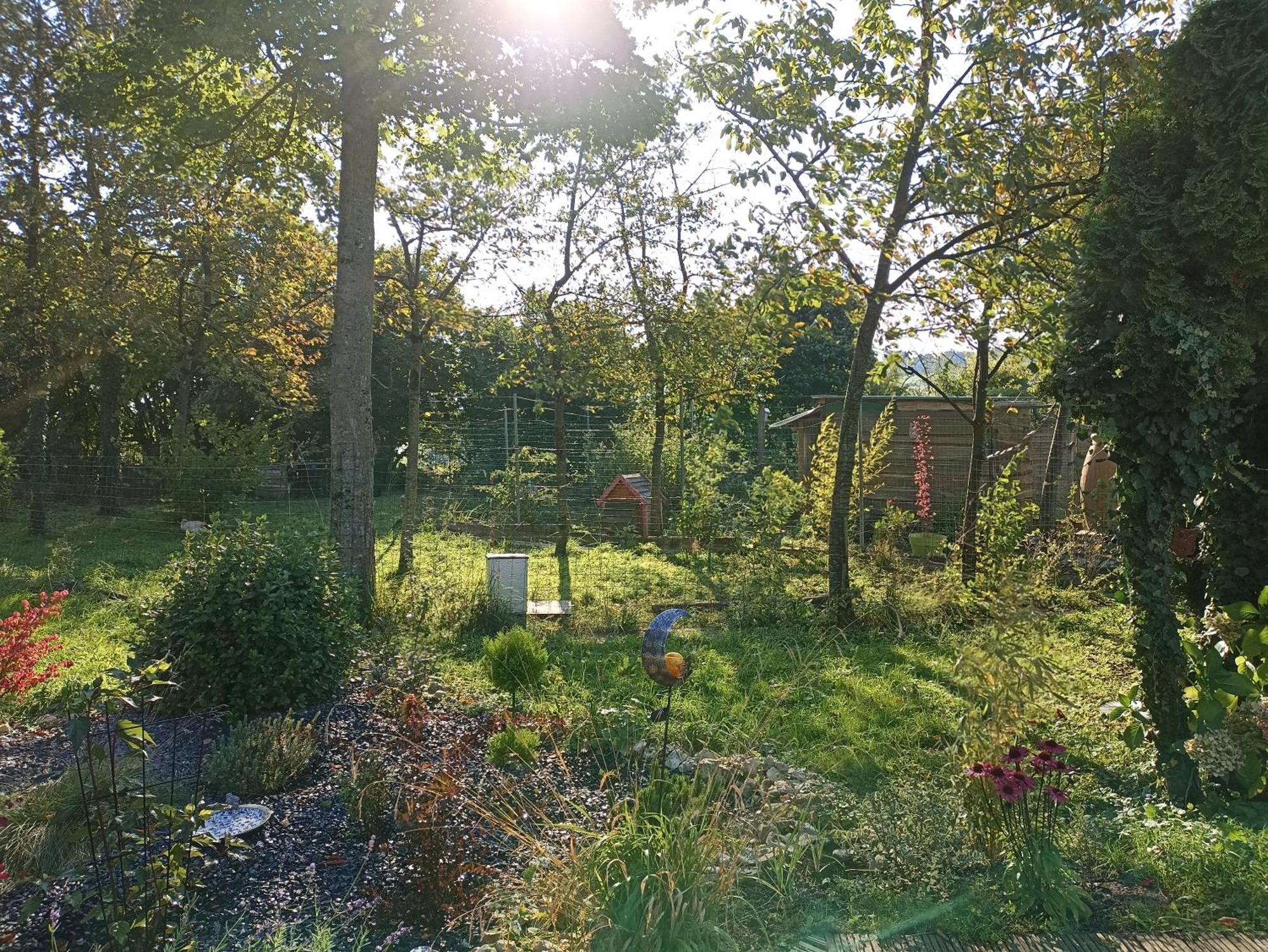 Gite Nature Et Detente Aubréville Εξωτερικό φωτογραφία